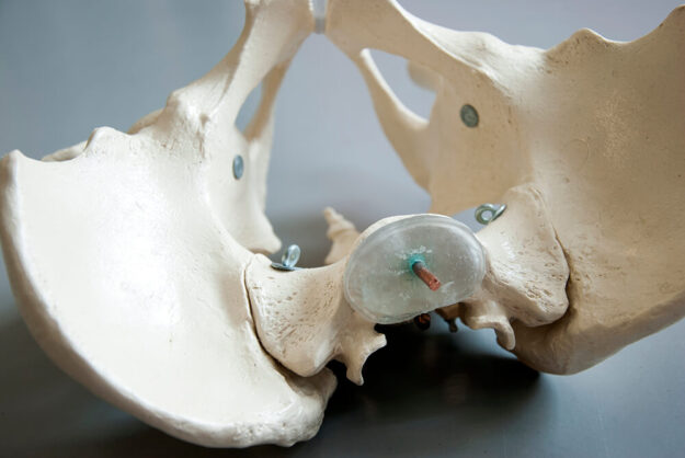 Vacature Bekkenfysiotherapeut Afbeelding van het bekken voor de vacature bekkenfysiotherapeut